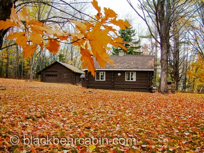 Black Bear Cabin